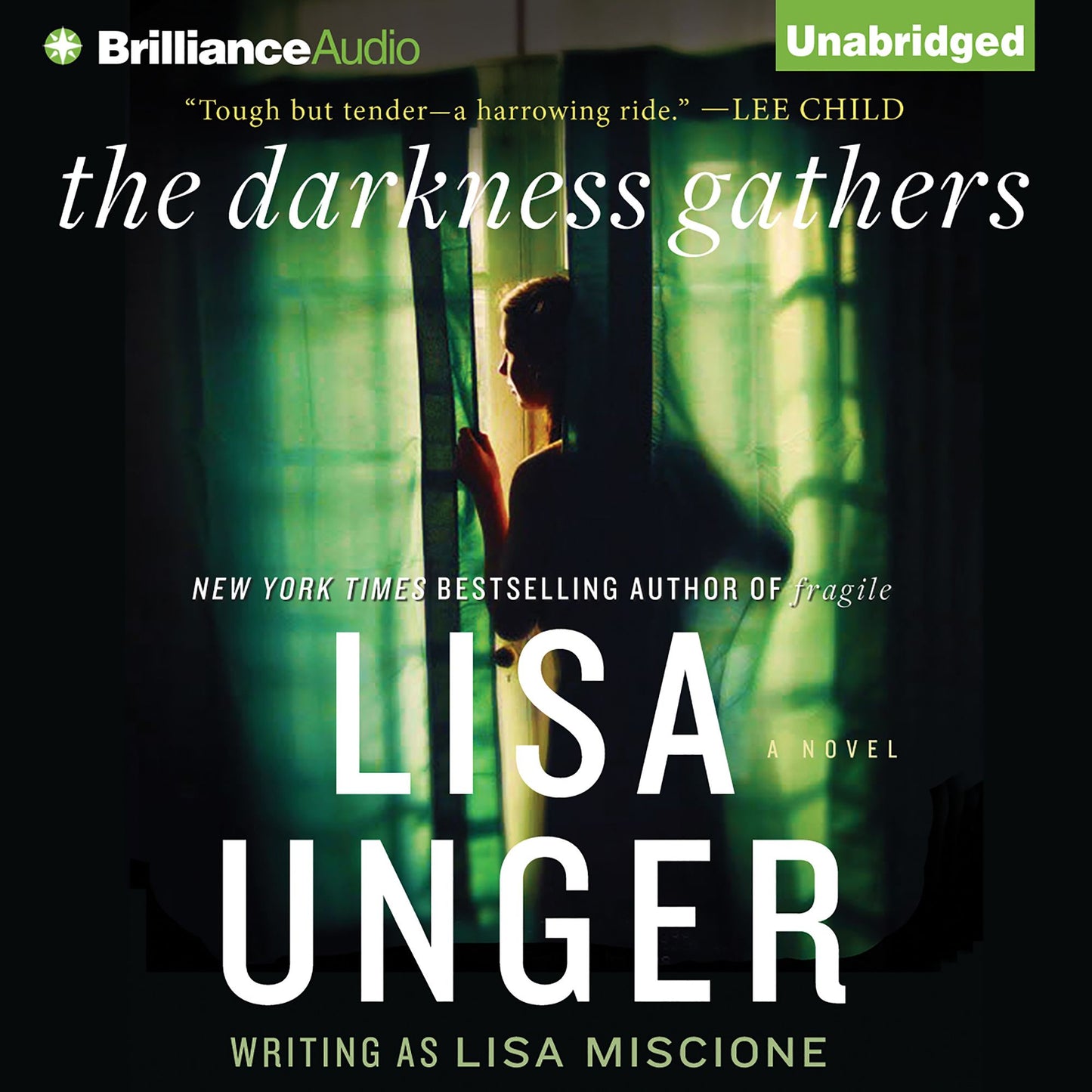 The Darkness Gathers: A Novel
