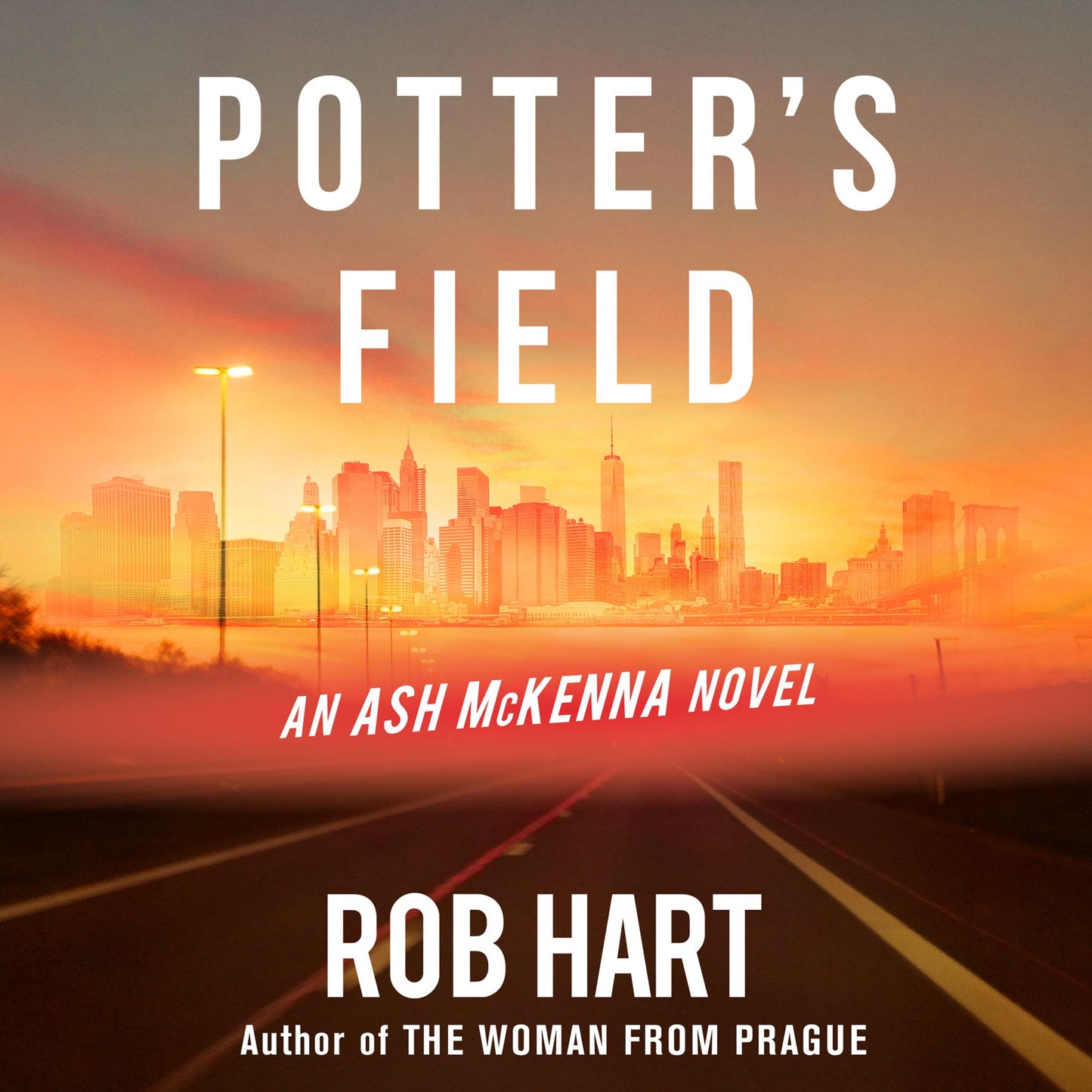 Potter's Field: An Ash McKenna Novel