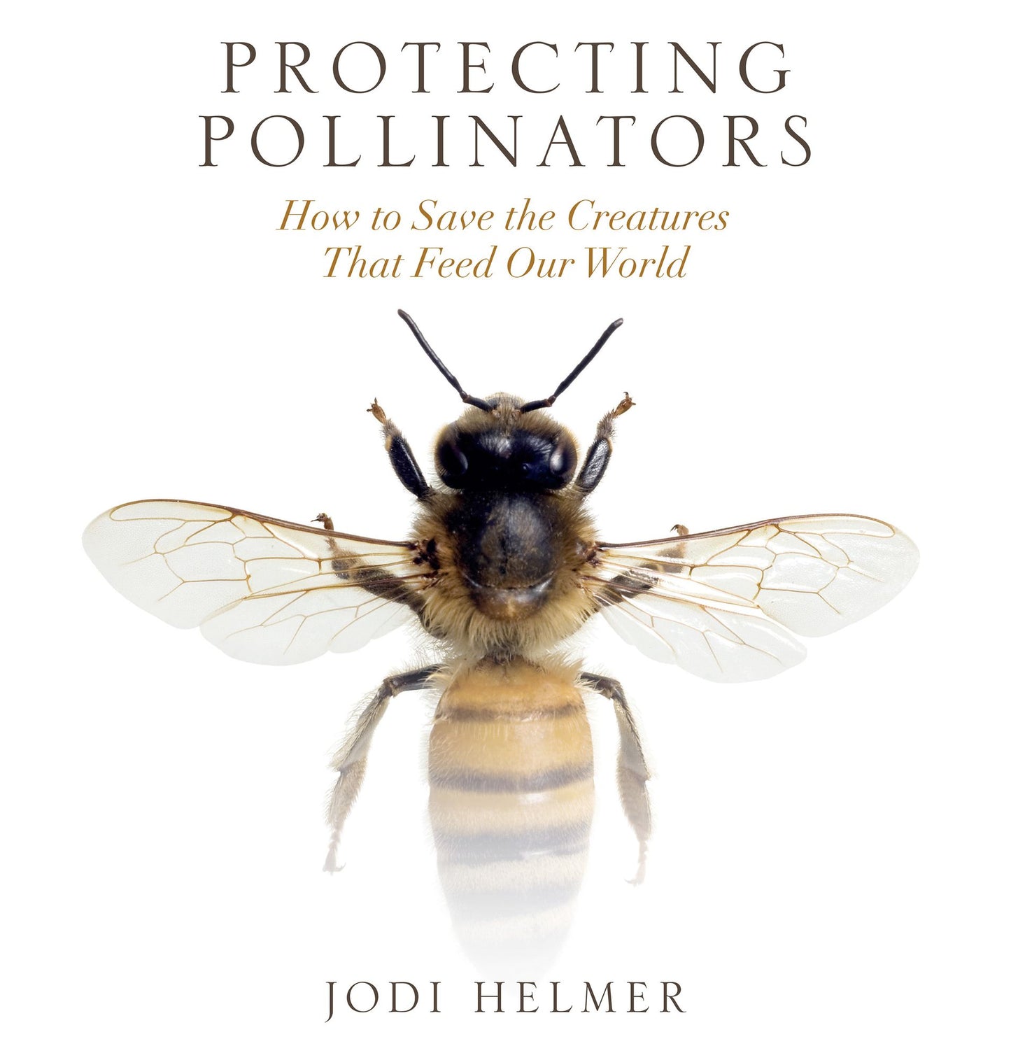 Protecting Pollinators: How to Save the Creatures that Feed Our World