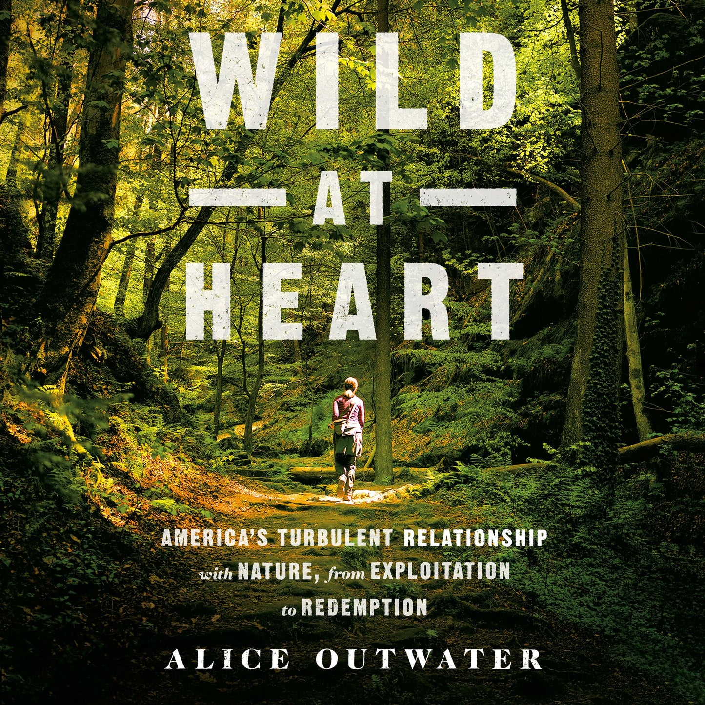 Wild at Heart: America's Turbulent Relationship with Nature, from Exploitation to Redemption