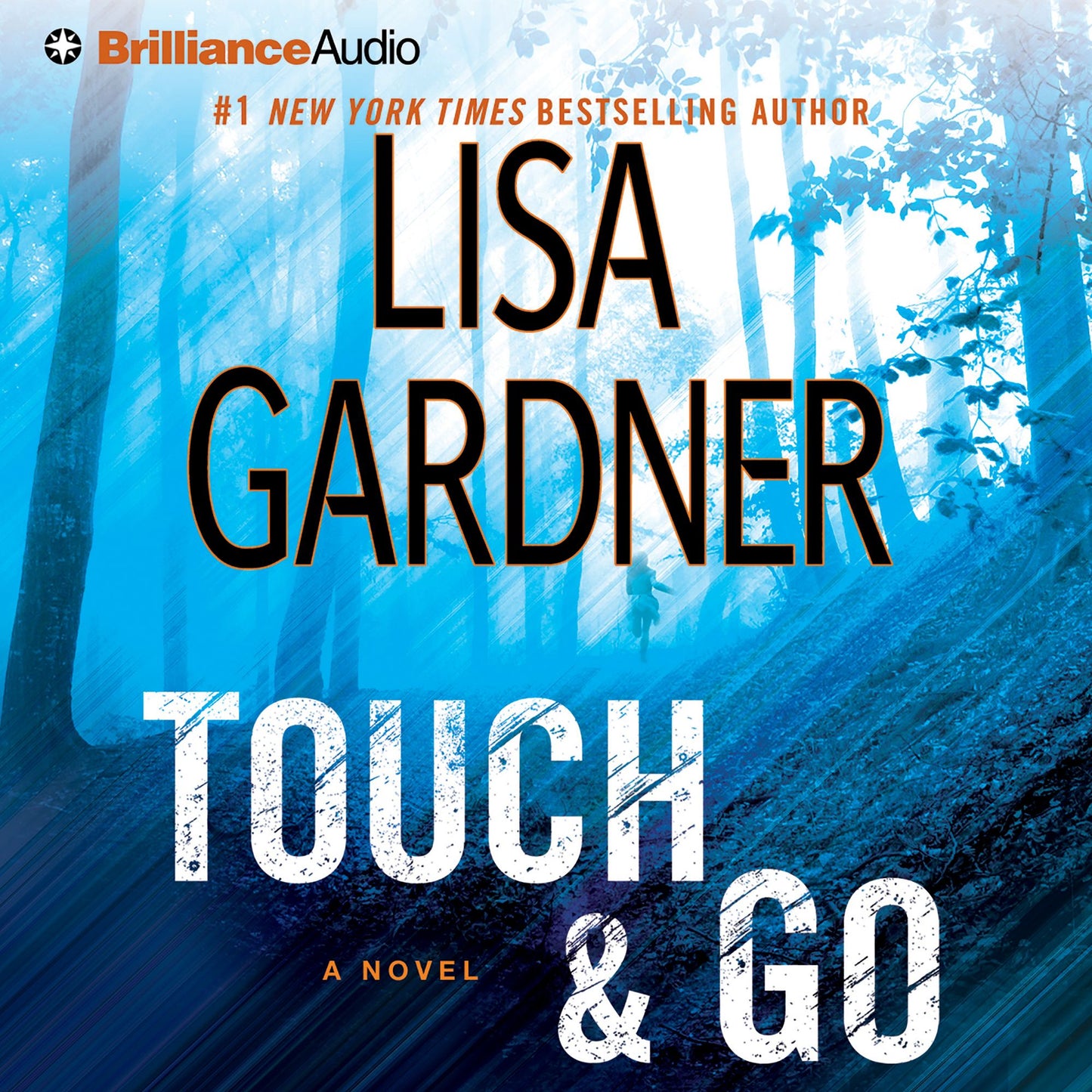 Touch & Go: A Novel (Abridged)