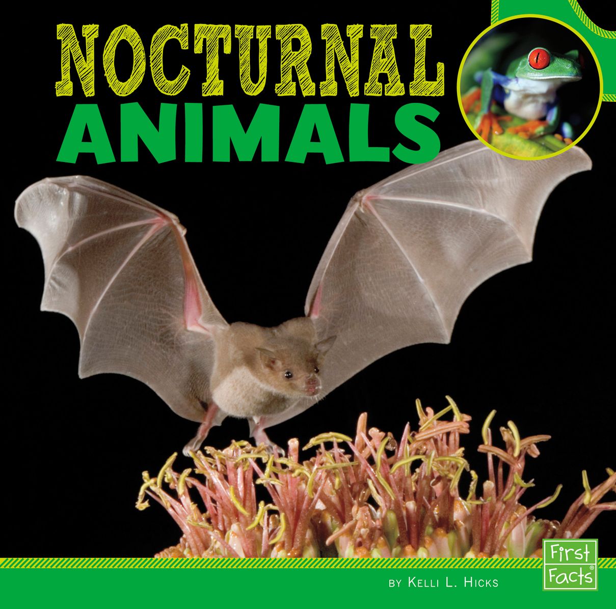 Nocturnal Animals