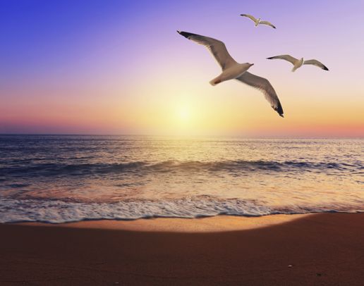Meditation for Healing the Heart (With Soothing Nature Sounds): Finding Hope, Strength & Inner Peace