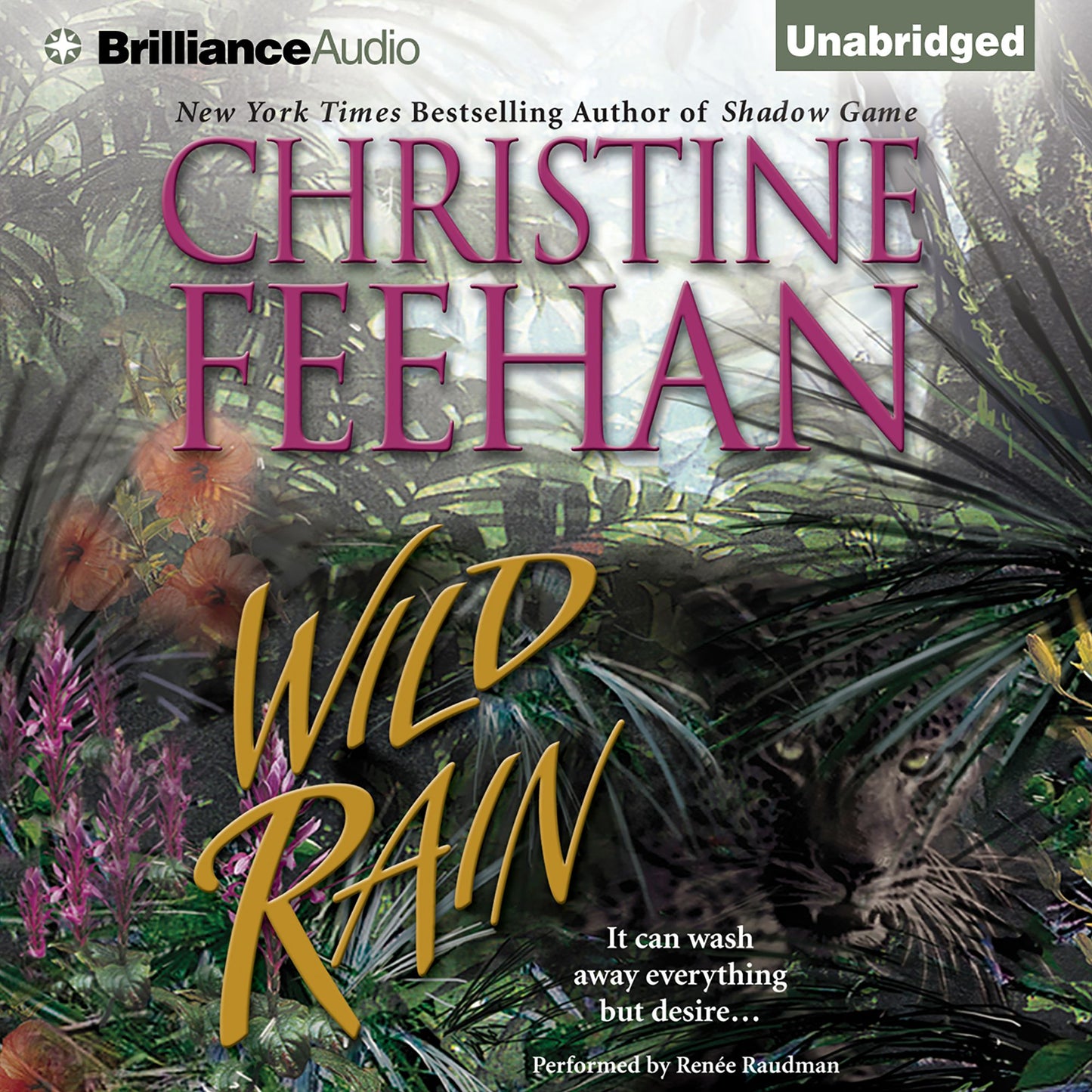 Wild Rain