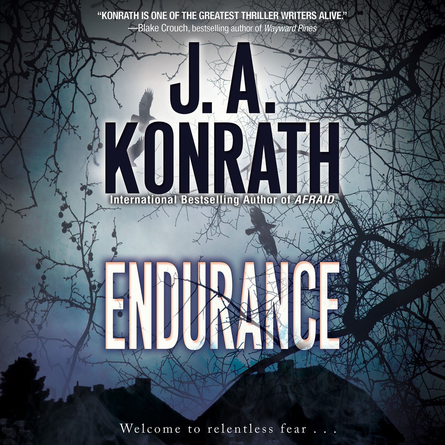 Endurance: Welcome to relentless fear . . .