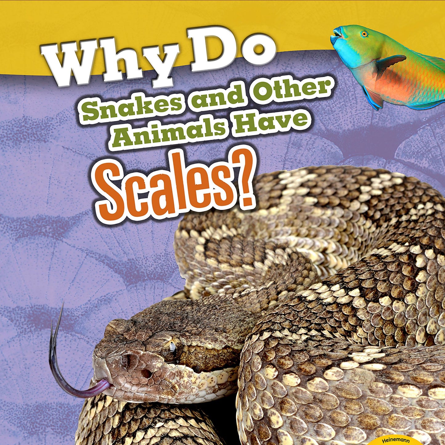Why Do Snakes and Other Animals Have Scales?