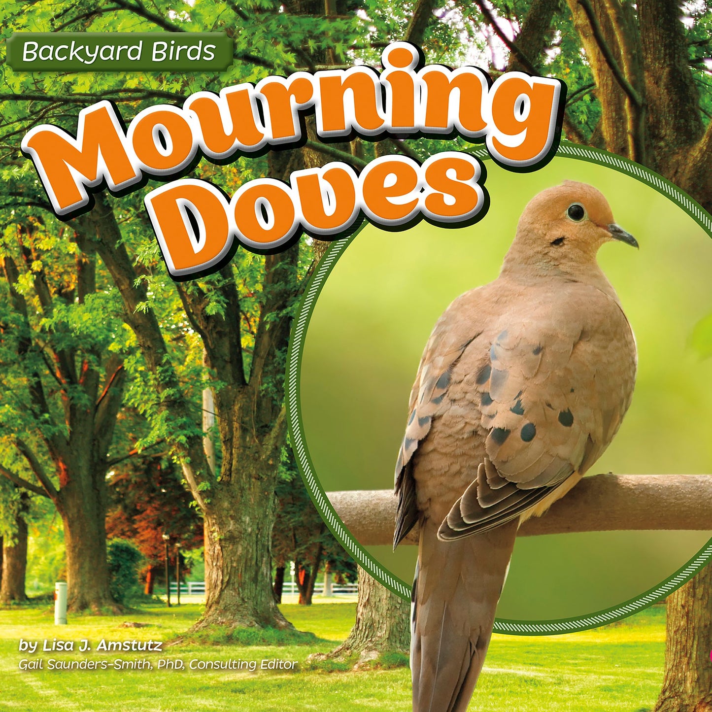 Mourning Doves