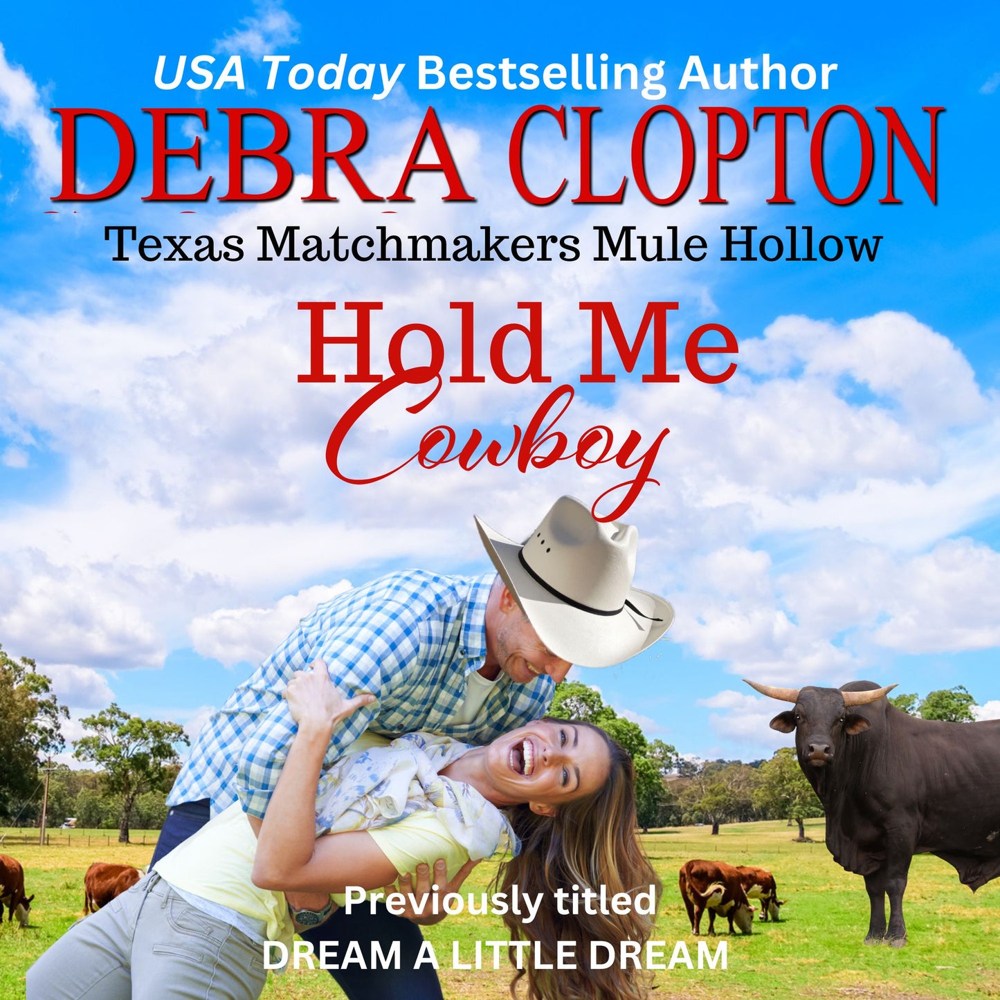 HOLD ME, COWBOY Enhanced Edition: Texas Matchmakers