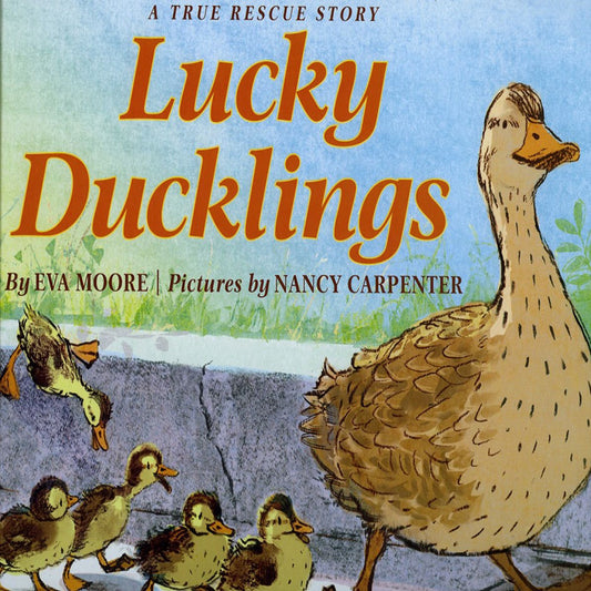 Lucky Ducklings : A True Rescue Story