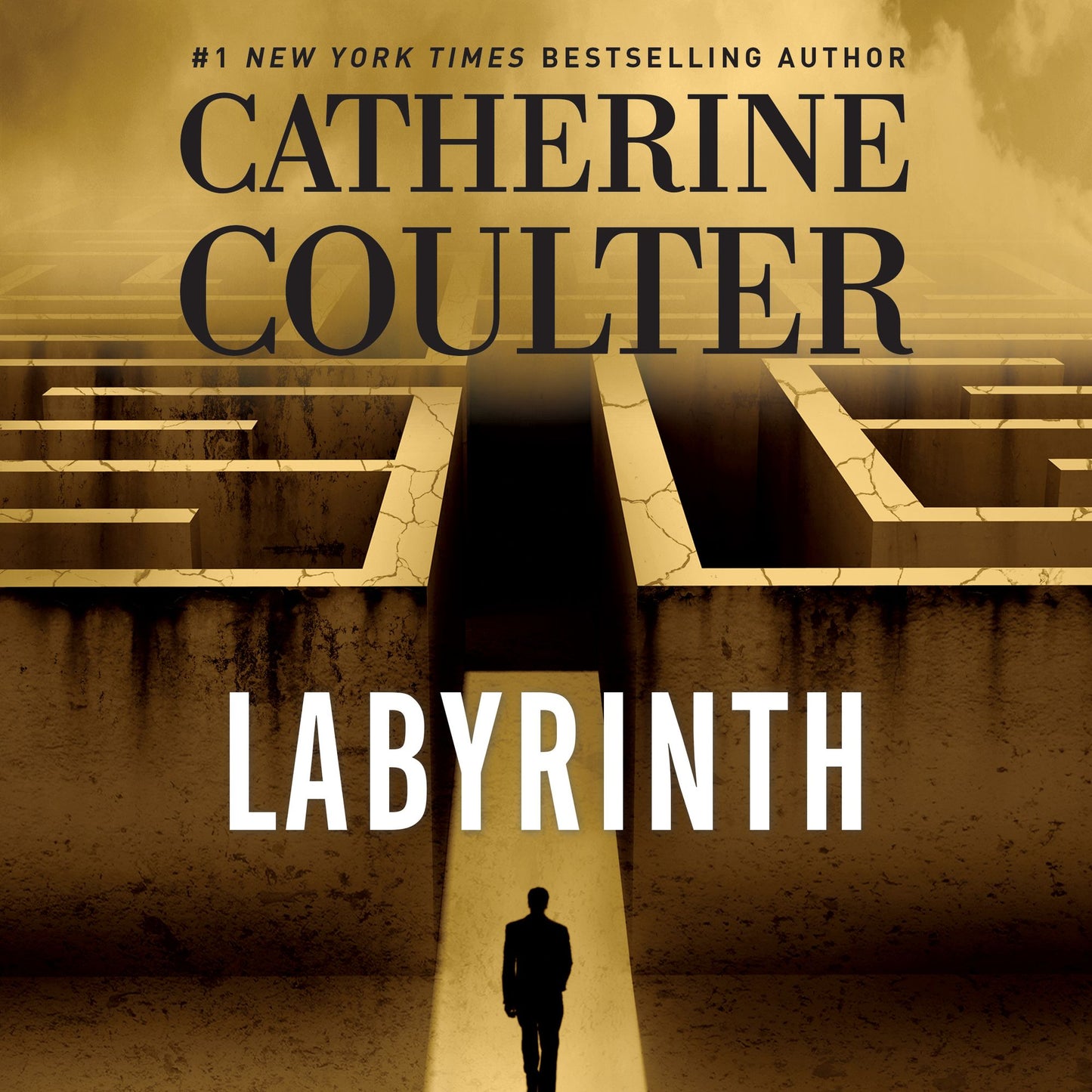 Labyrinth: An FBI Thriller