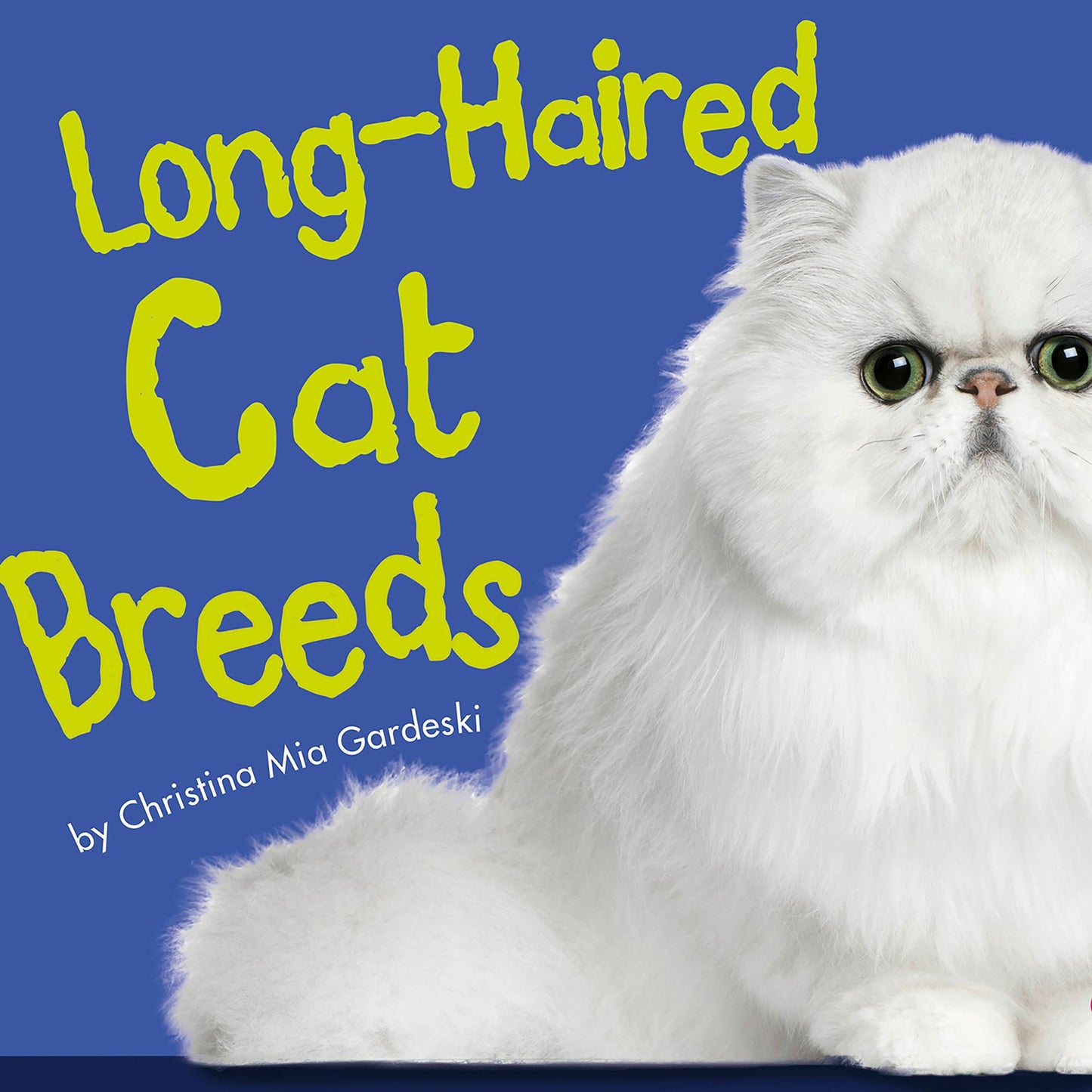 Long-Haired Cat Breeds