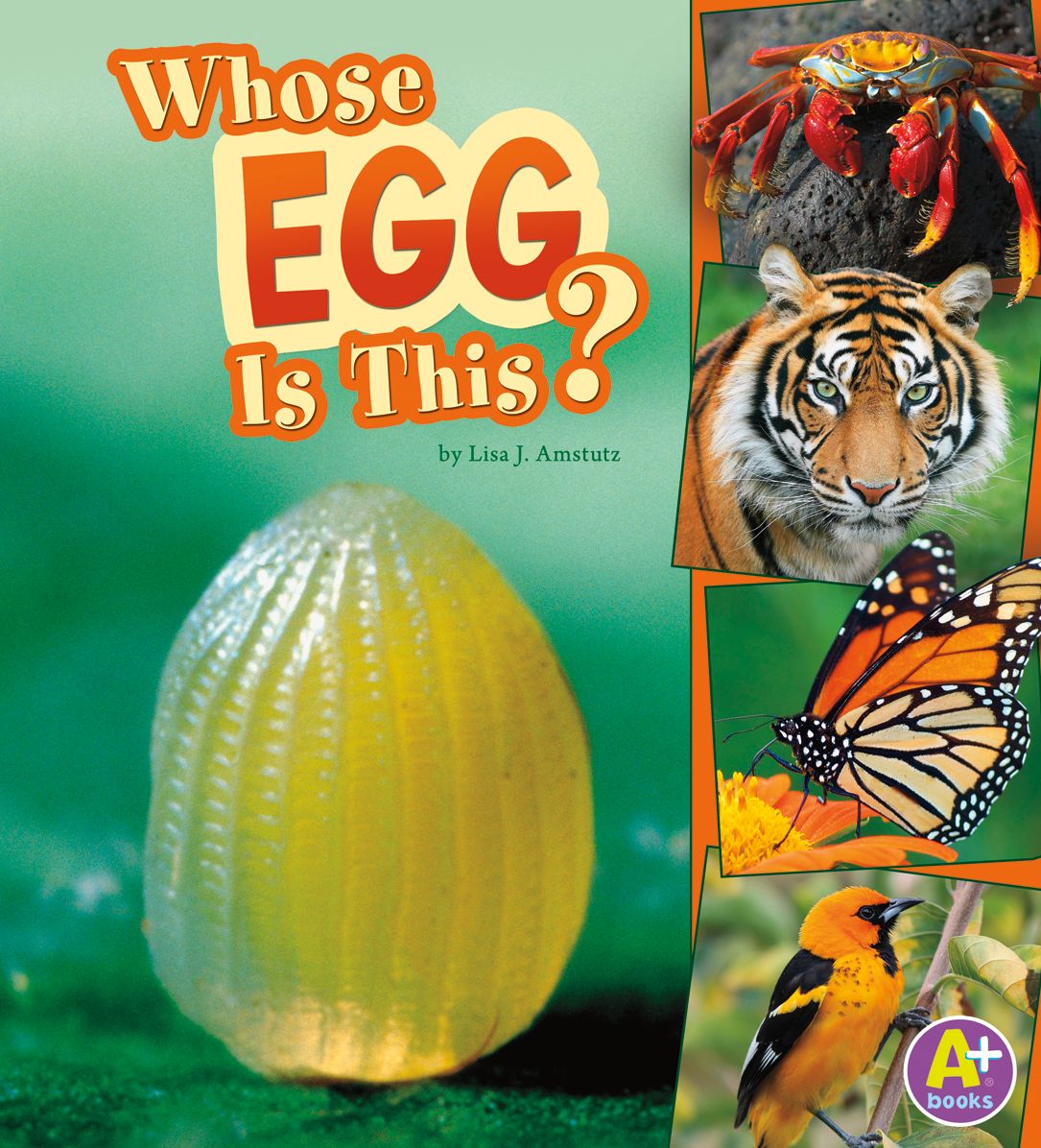 Whose Egg Is This?