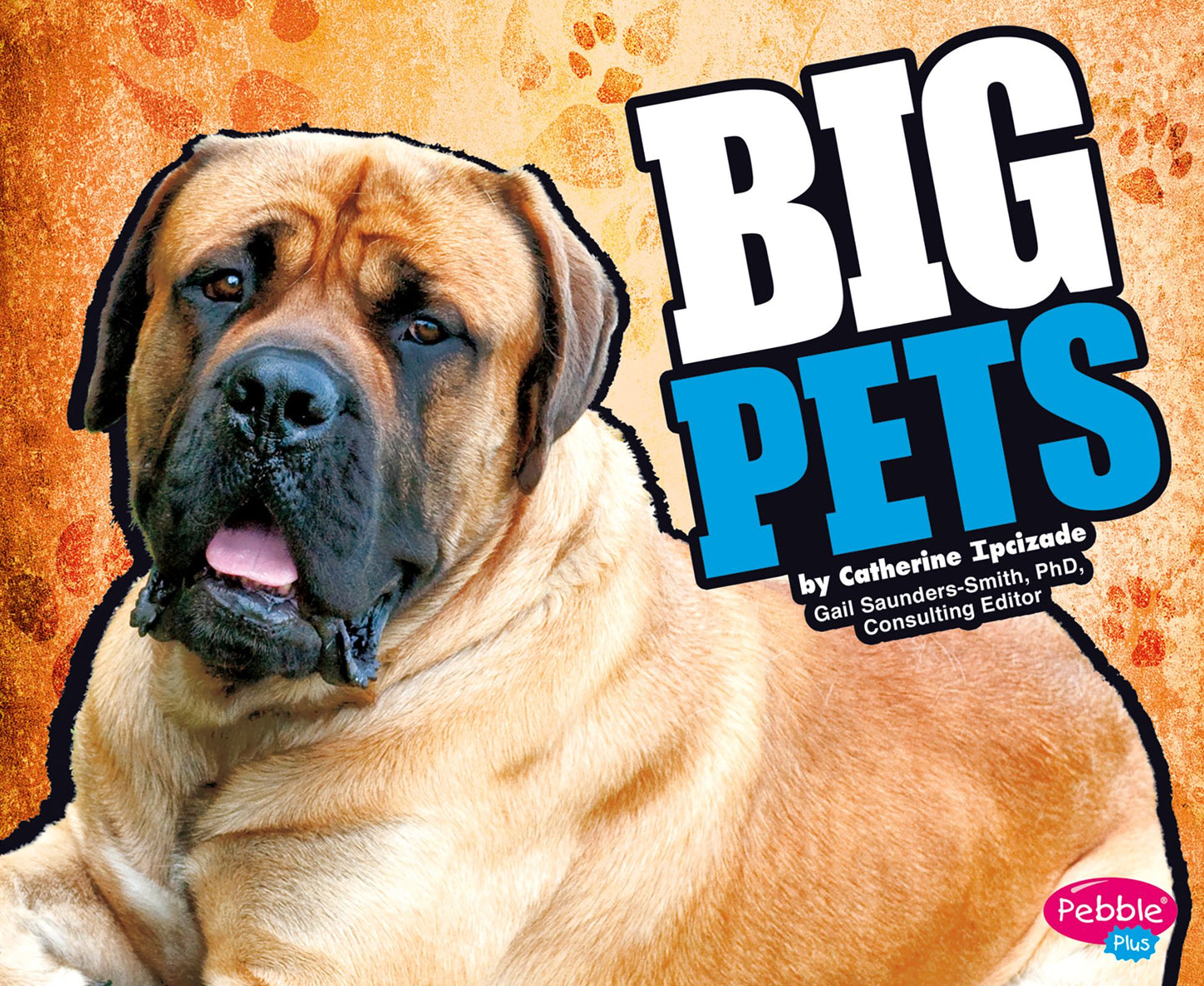 BIG Pets