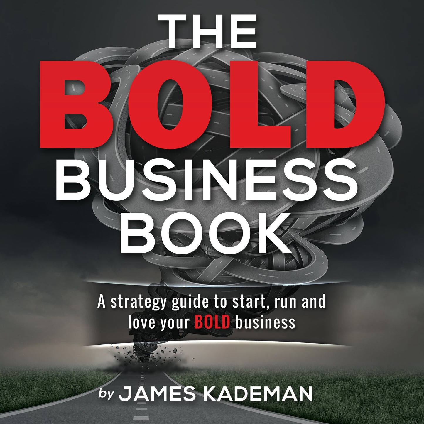 The BOLD Business Book: A strategy guide to start, run and love your bold business.