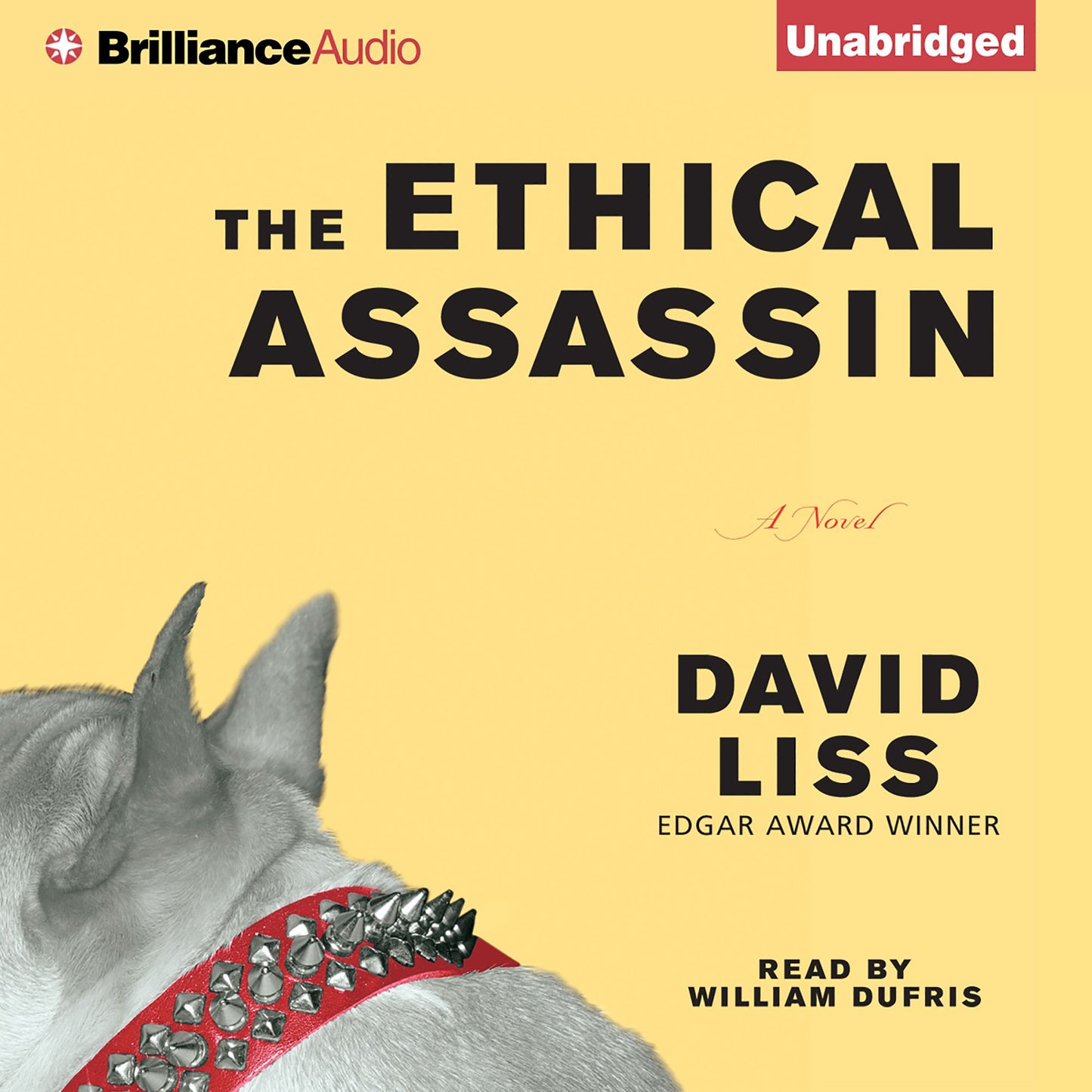 The Ethical Assassin: A Novel