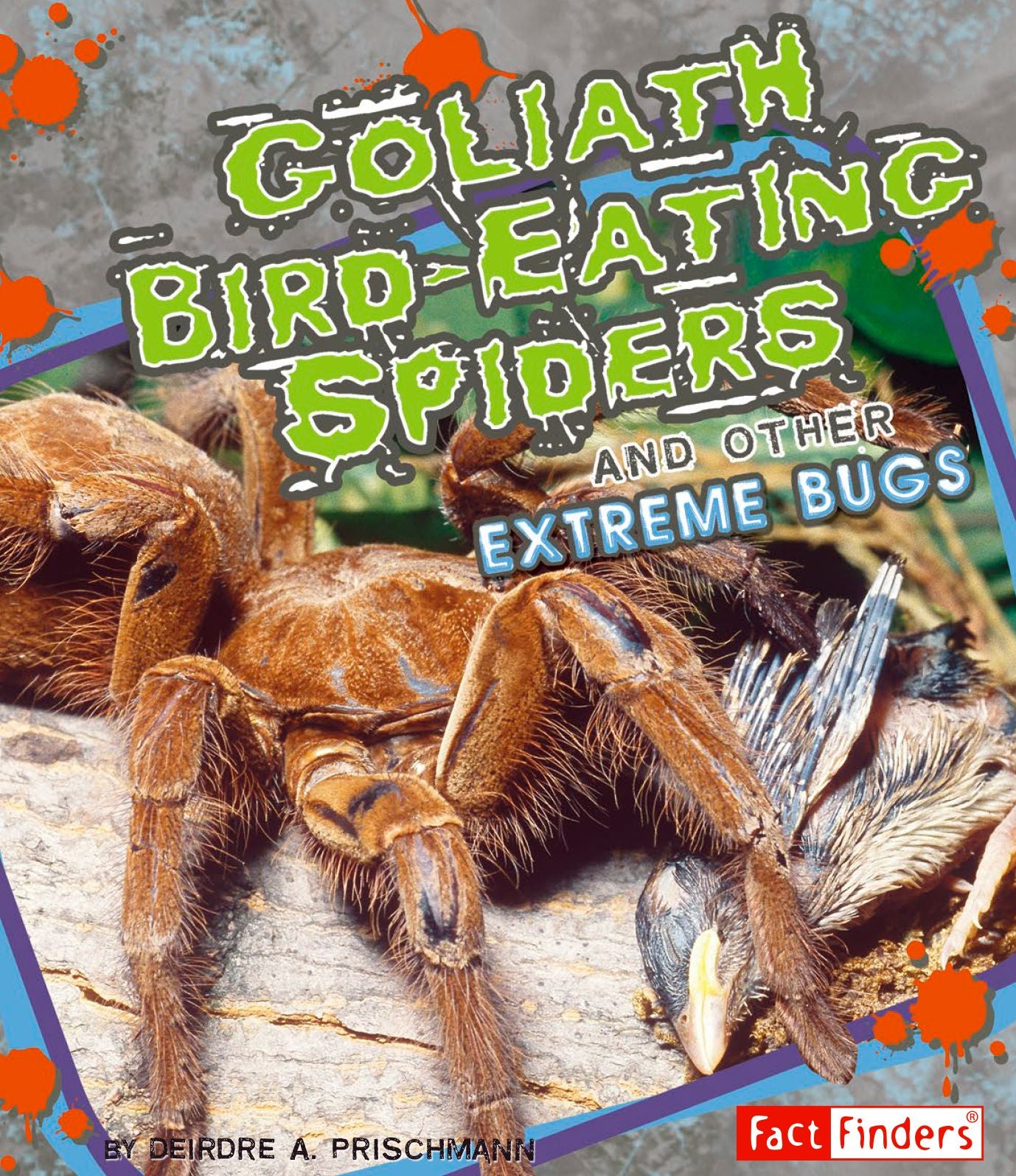 Goliath Bird-Eating Spiders and Other Extreme Bugs