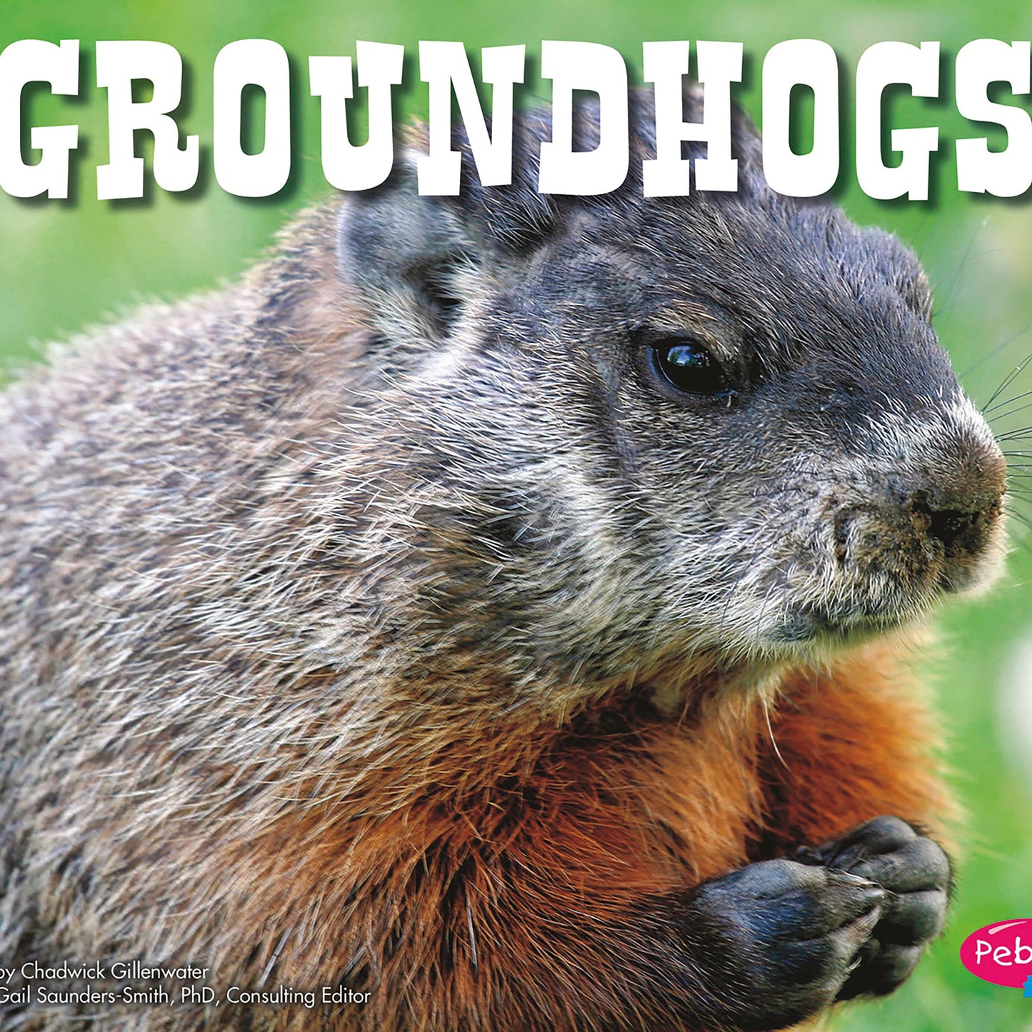 Groundhogs