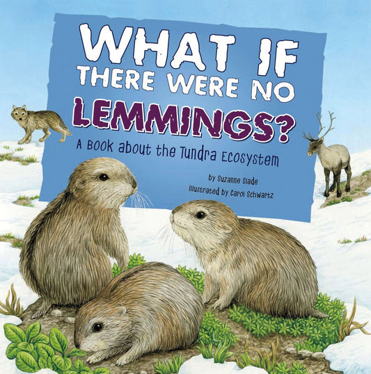 What If There Were No Lemmings? : A Book About the Tundra Ecosystem