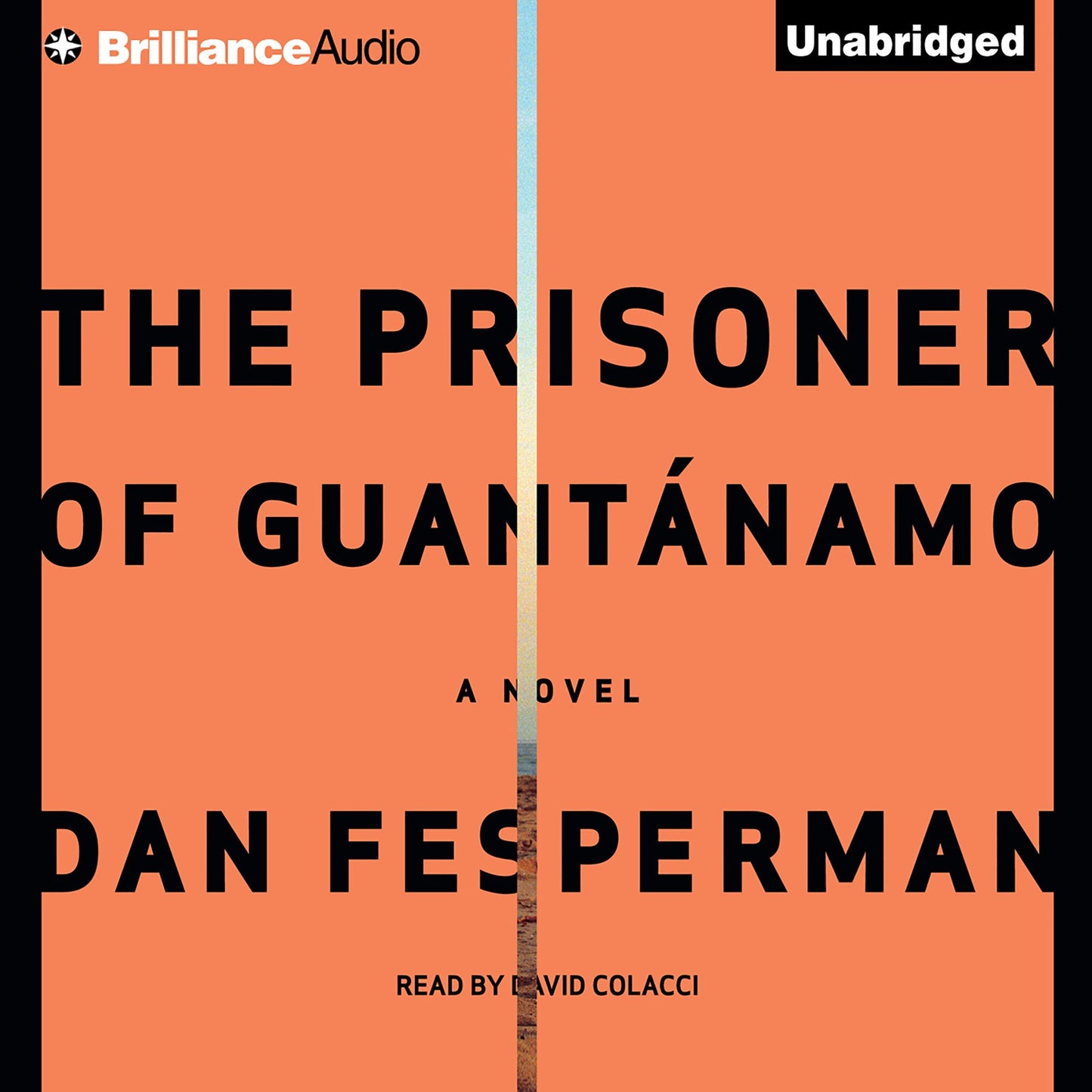 The Prisoner of Guantánamo