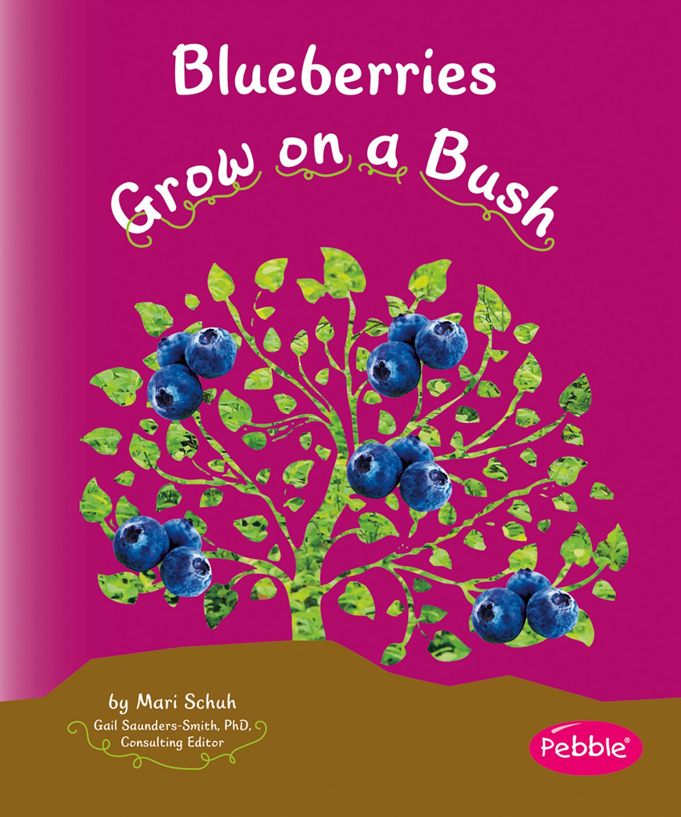 Blueberries Grow on a Bush