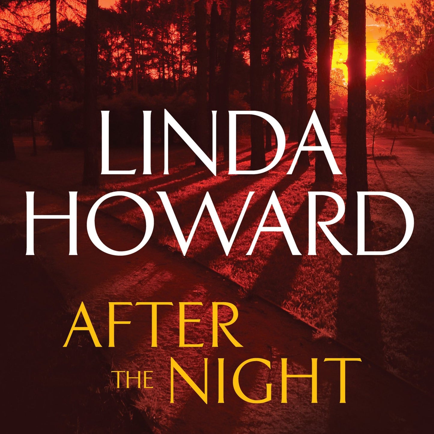 After the Night (Abridged)