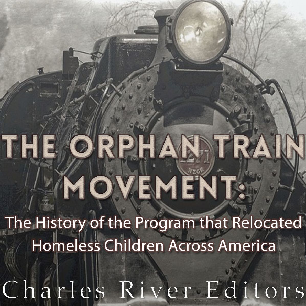 The Orphan Train Movement: The History of the Program that Relocated Homeless Children Across America
