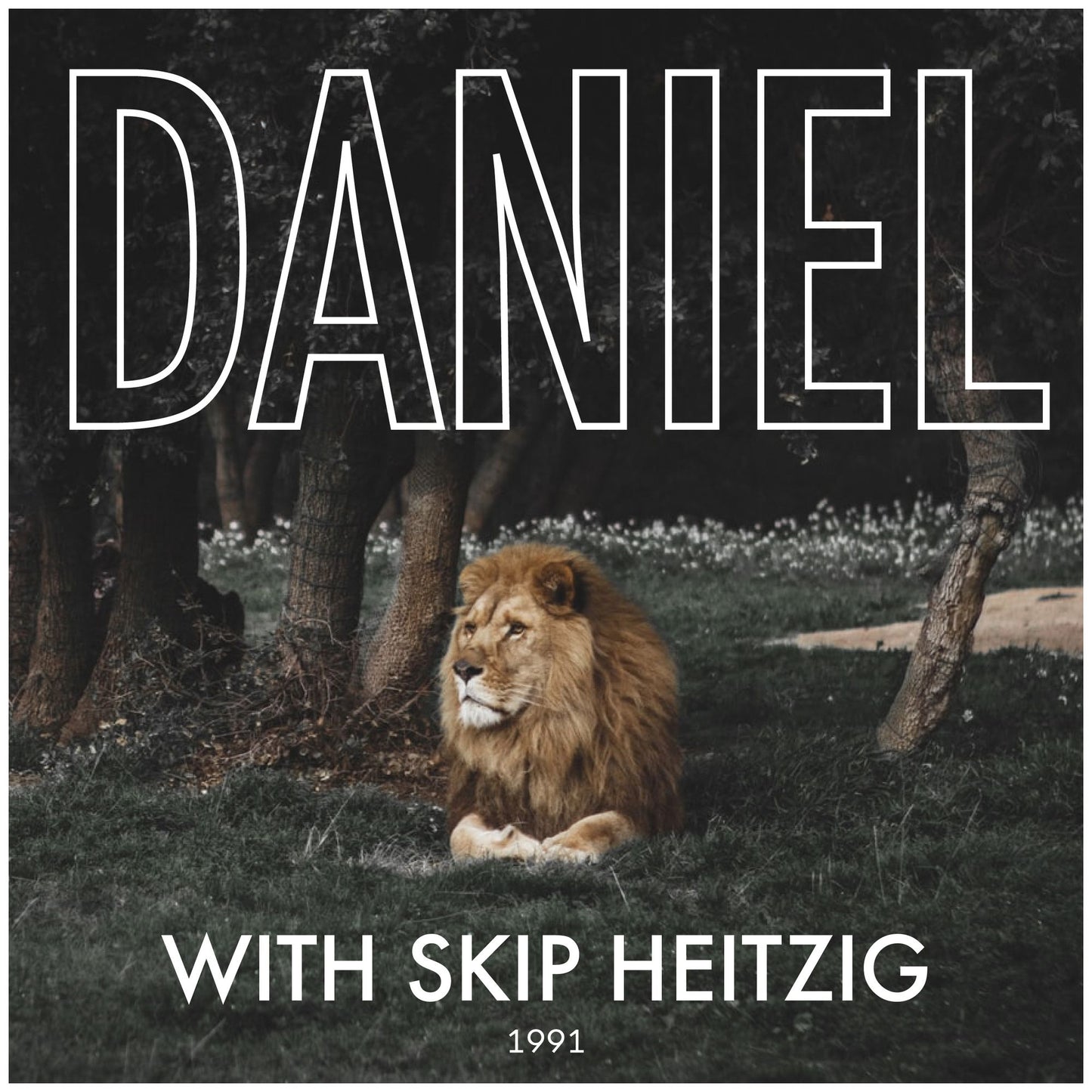 27 Daniel - 1991