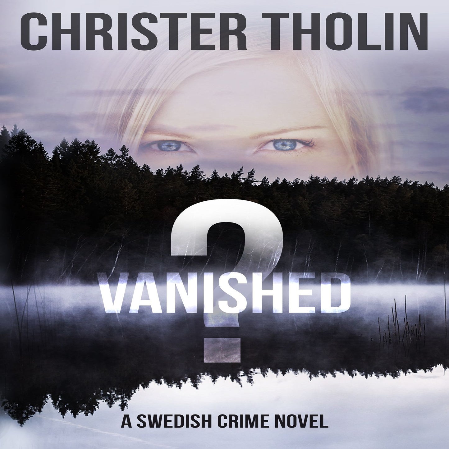 Vanished?: A Swedish Crime Novel