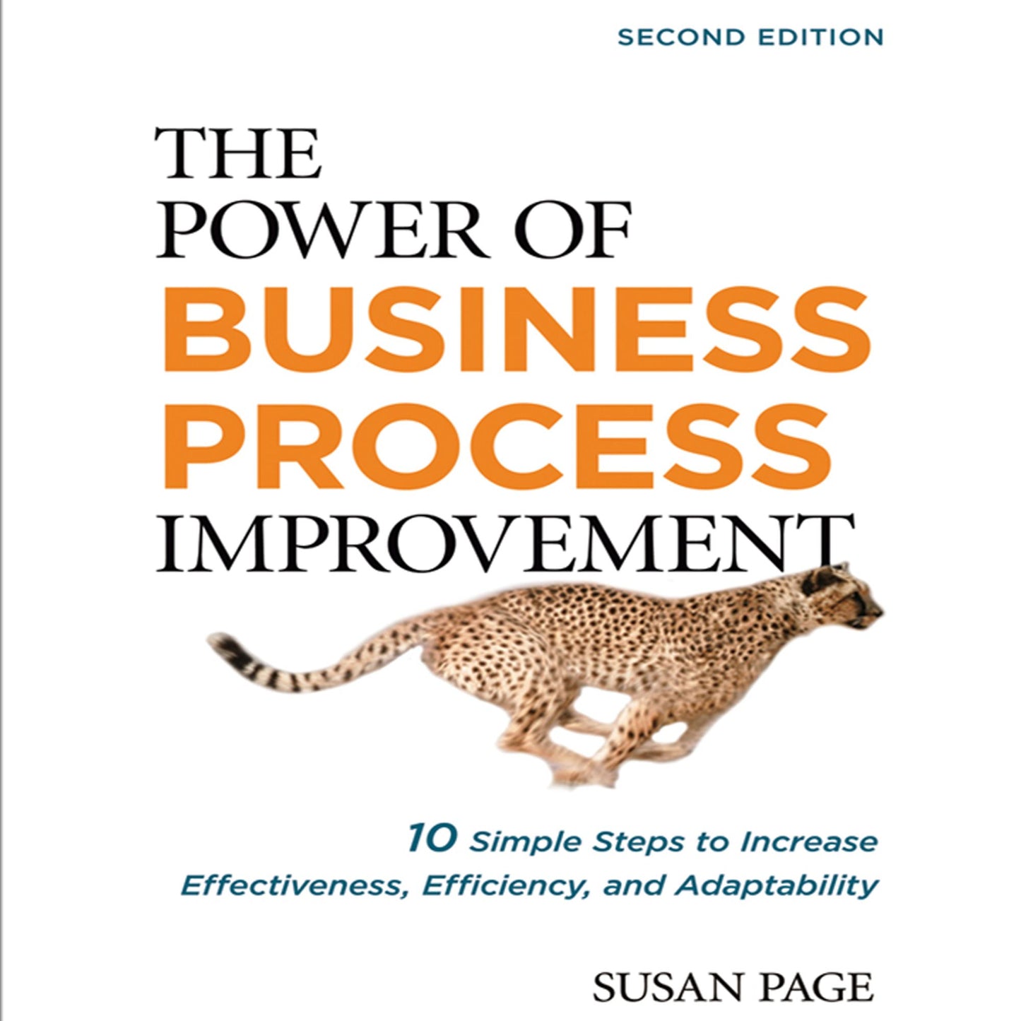 The Power of Business Process Improvement: 10 Simple Steps to Increase Effectiveness, Efficiency, and Adaptability