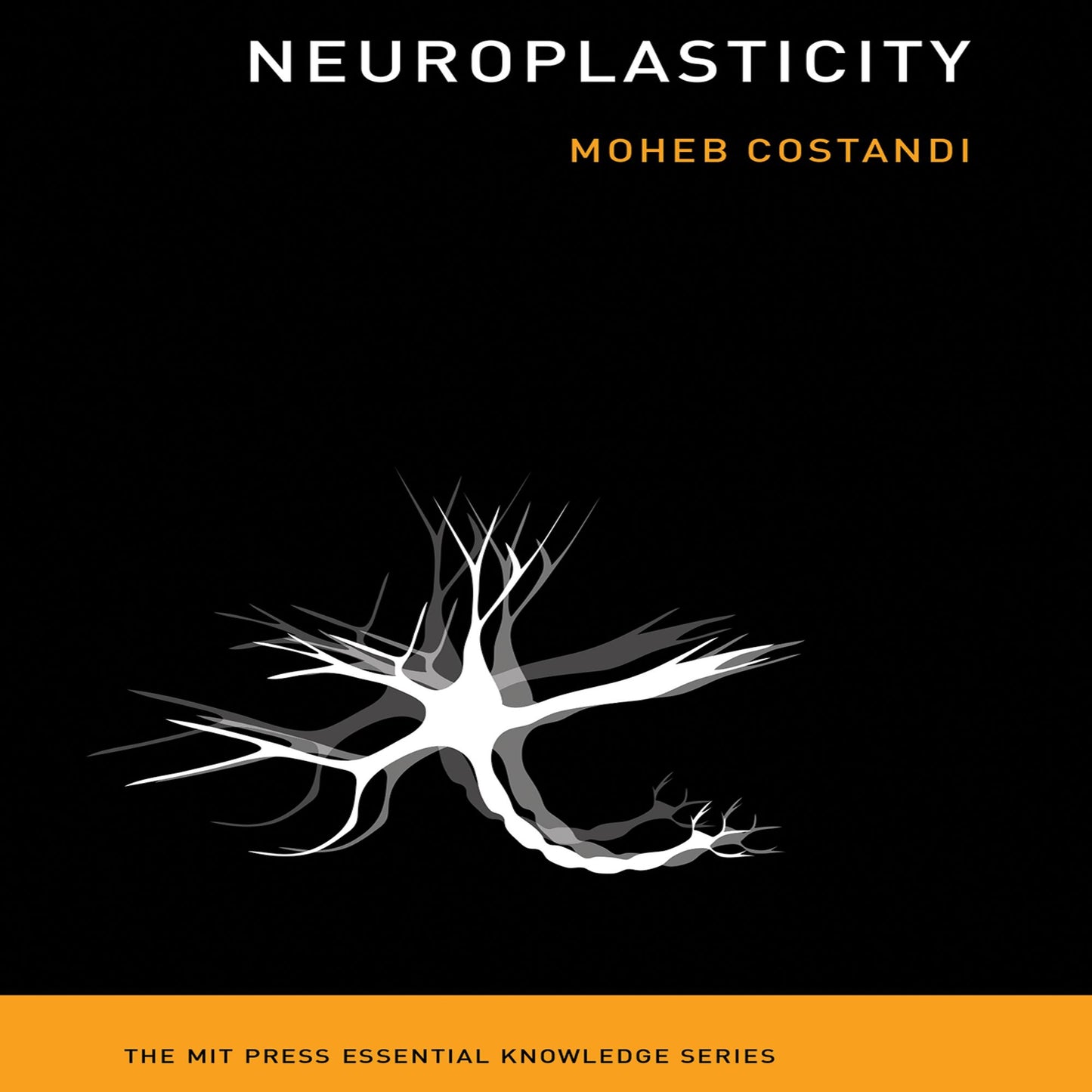 Neuroplasticity: (The MIT Press Essential Knowledge series)