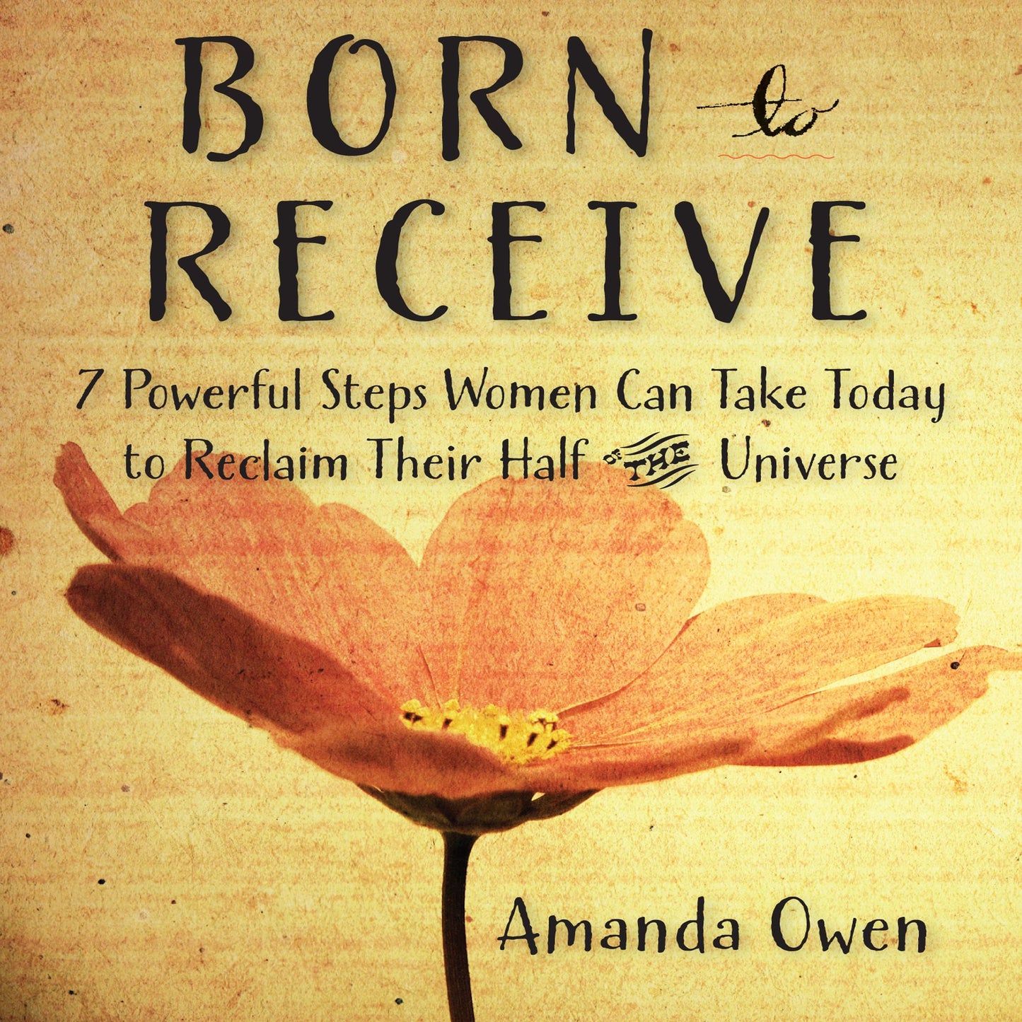 Born to Receive: Seven Powerful Steps Women Can Take Today to Reclaim Their Half of the Universe