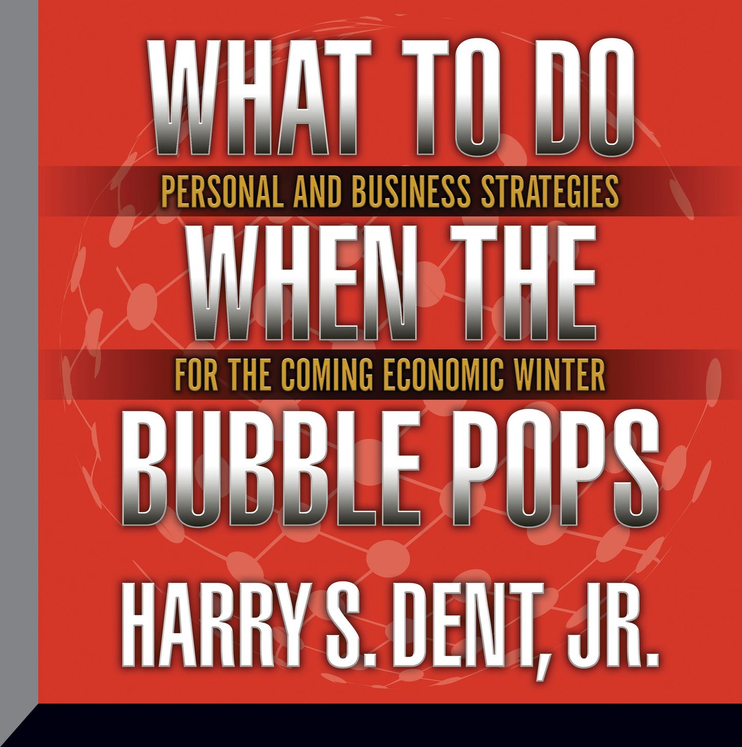 What to Do When the Bubble Pops: Personal and Business Strategies for the Coming Economic Winter