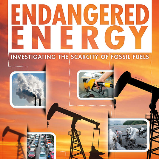 Endangered Energy : Investigating the Scarcity of Fossil Fuels