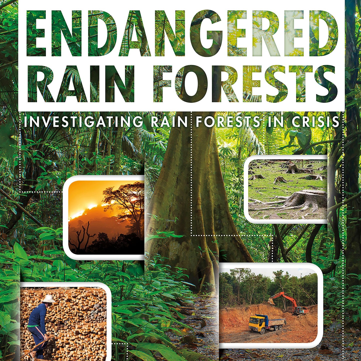 Endangered Rain Forests : Investigating Rain Forests in Crisis