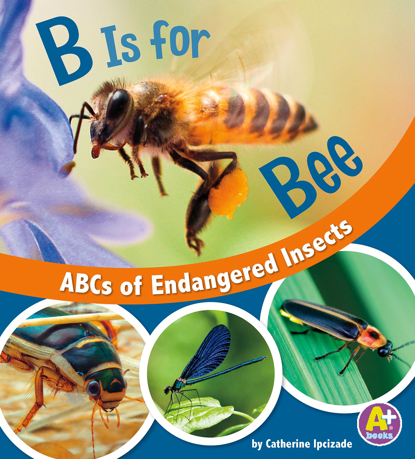 B Is for Bees : ABCs of Endangered Insects