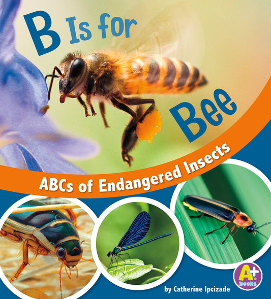 B Is for Bees : ABCs of Endangered Insects