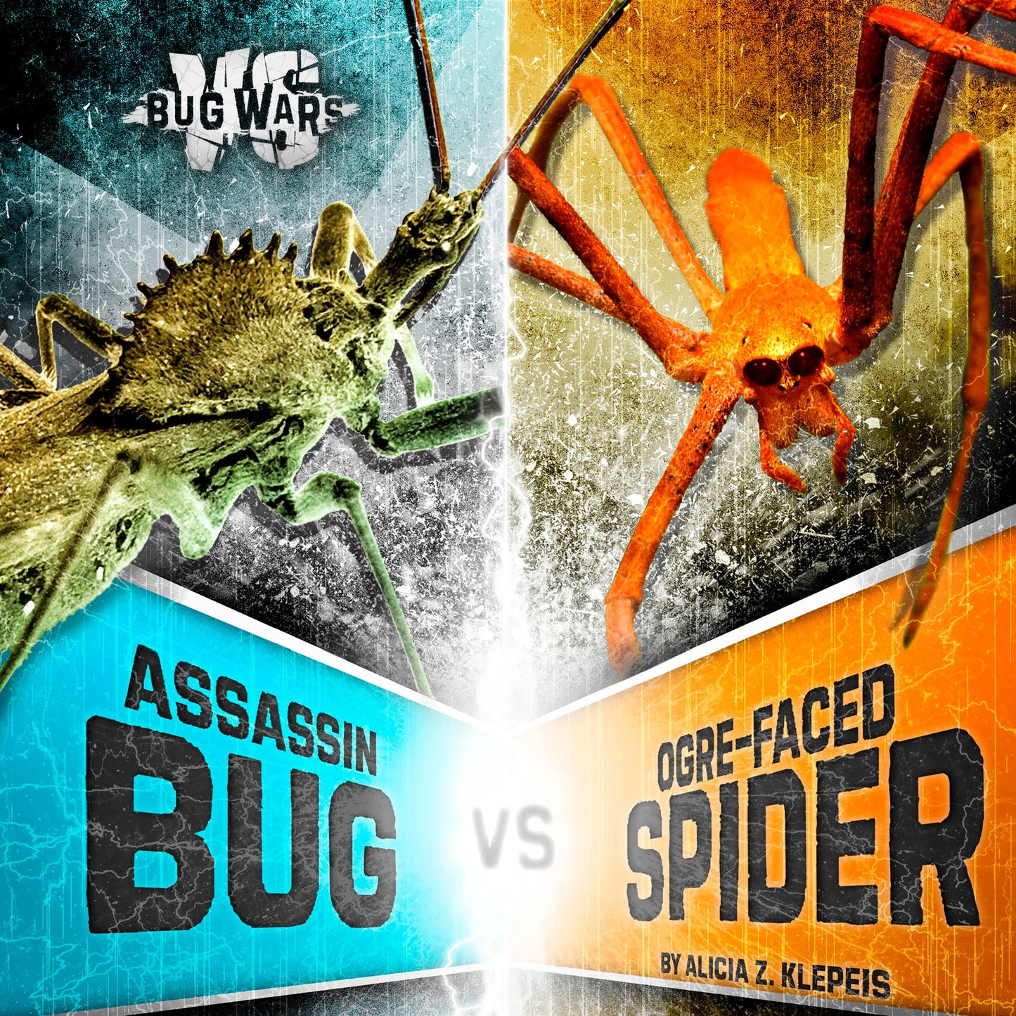 Assassin Bug vs. Ogre-Faced Spider : When Cunning Hunters Collide