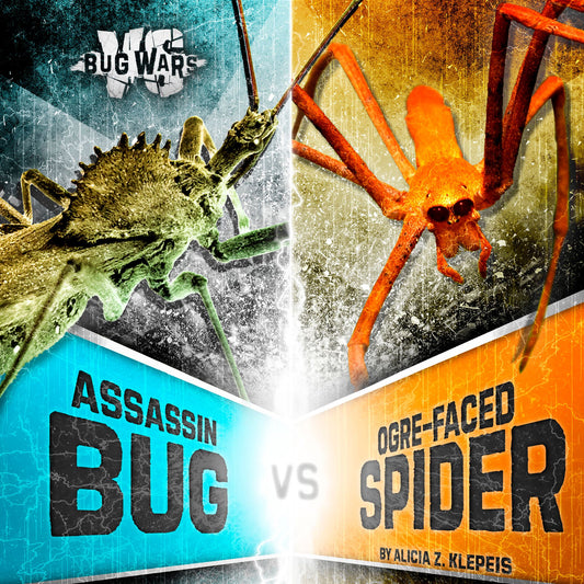 Assassin Bug vs. Ogre-Faced Spider : When Cunning Hunters Collide