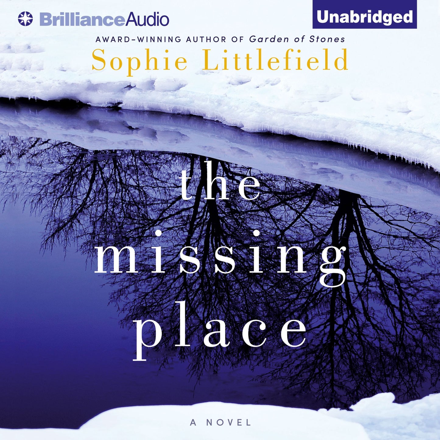 The Missing Place