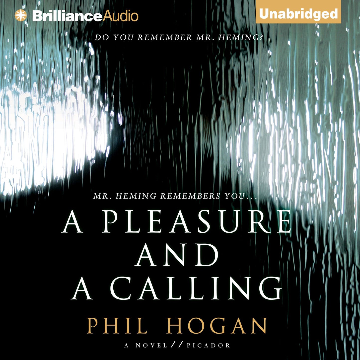 A Pleasure and a Calling: A Novel