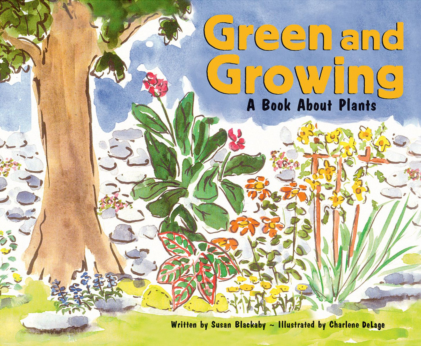 Green and Growing: A Book About Plants