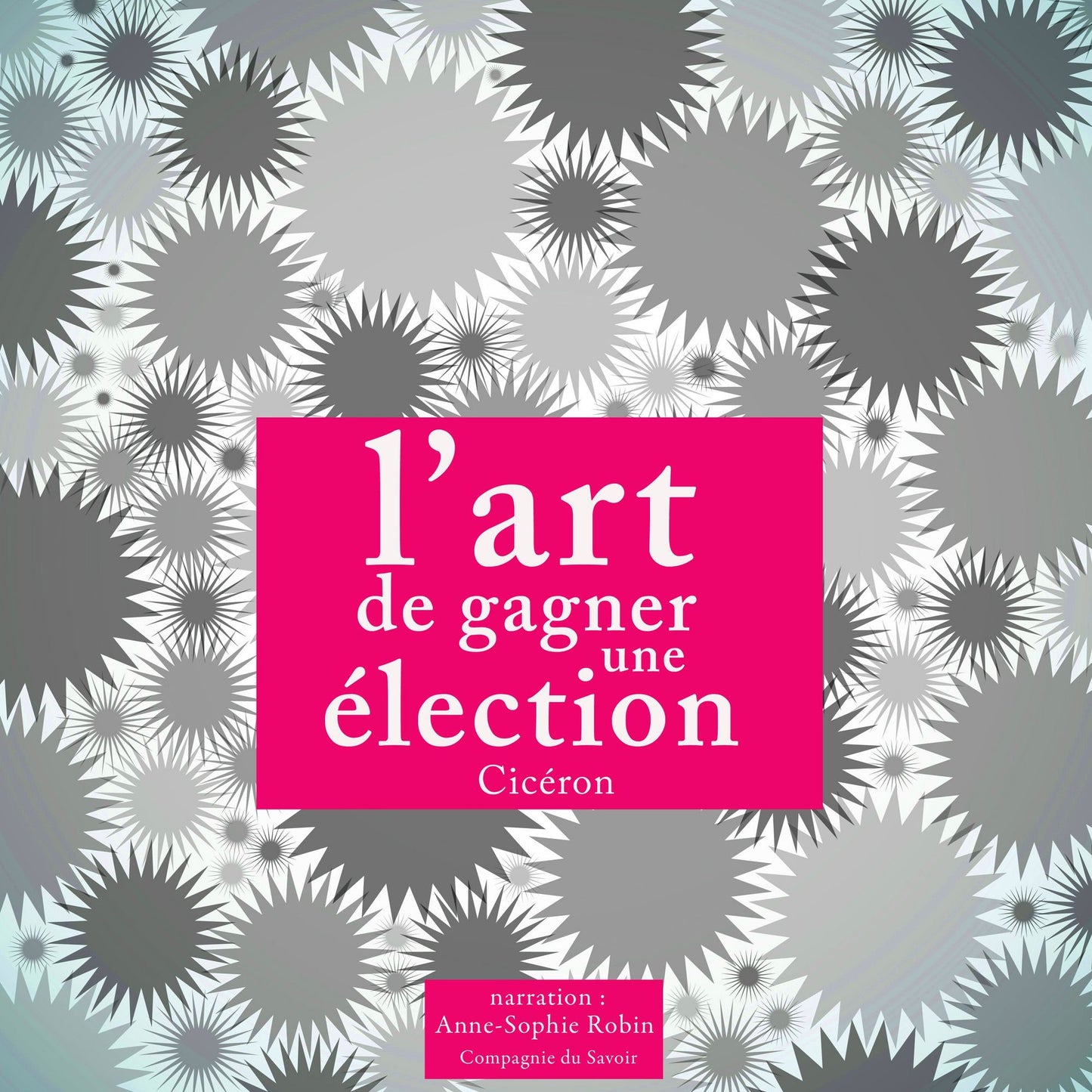 L'art de gagner une Ã©lection