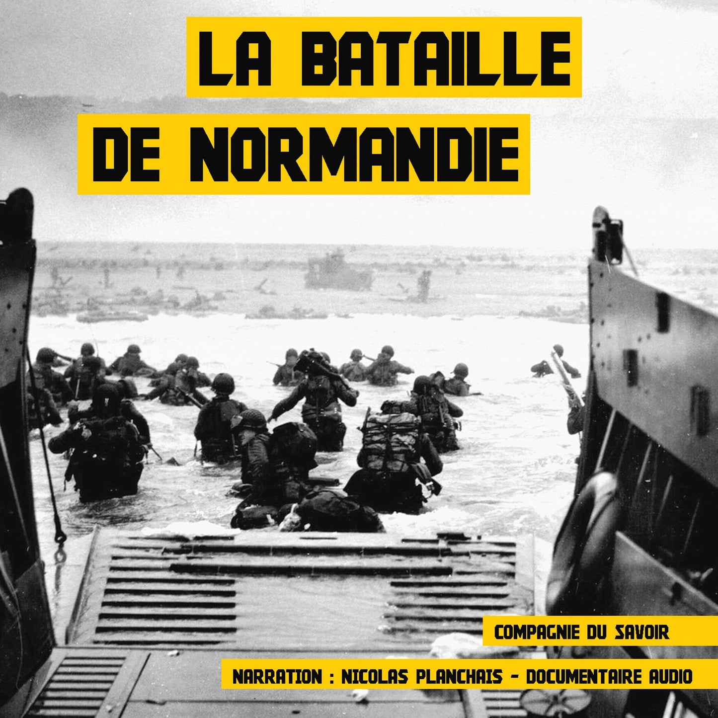 La bataille de Normandie : Les grandes batailles