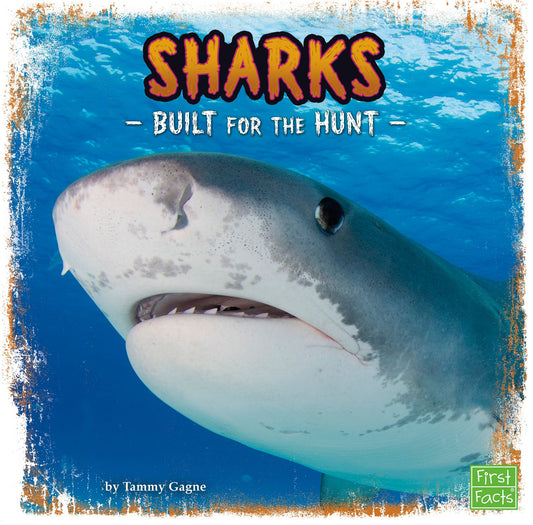 Sharks : Built for the Hunt