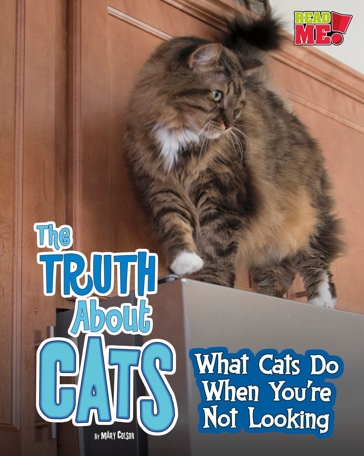 The Truth about Cats : What Cats Do When You're Not Looking