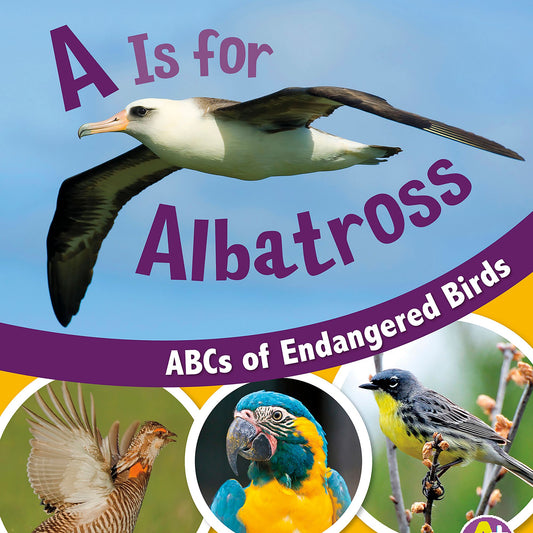 A Is for Albatross : ABCs of Endangered Birds