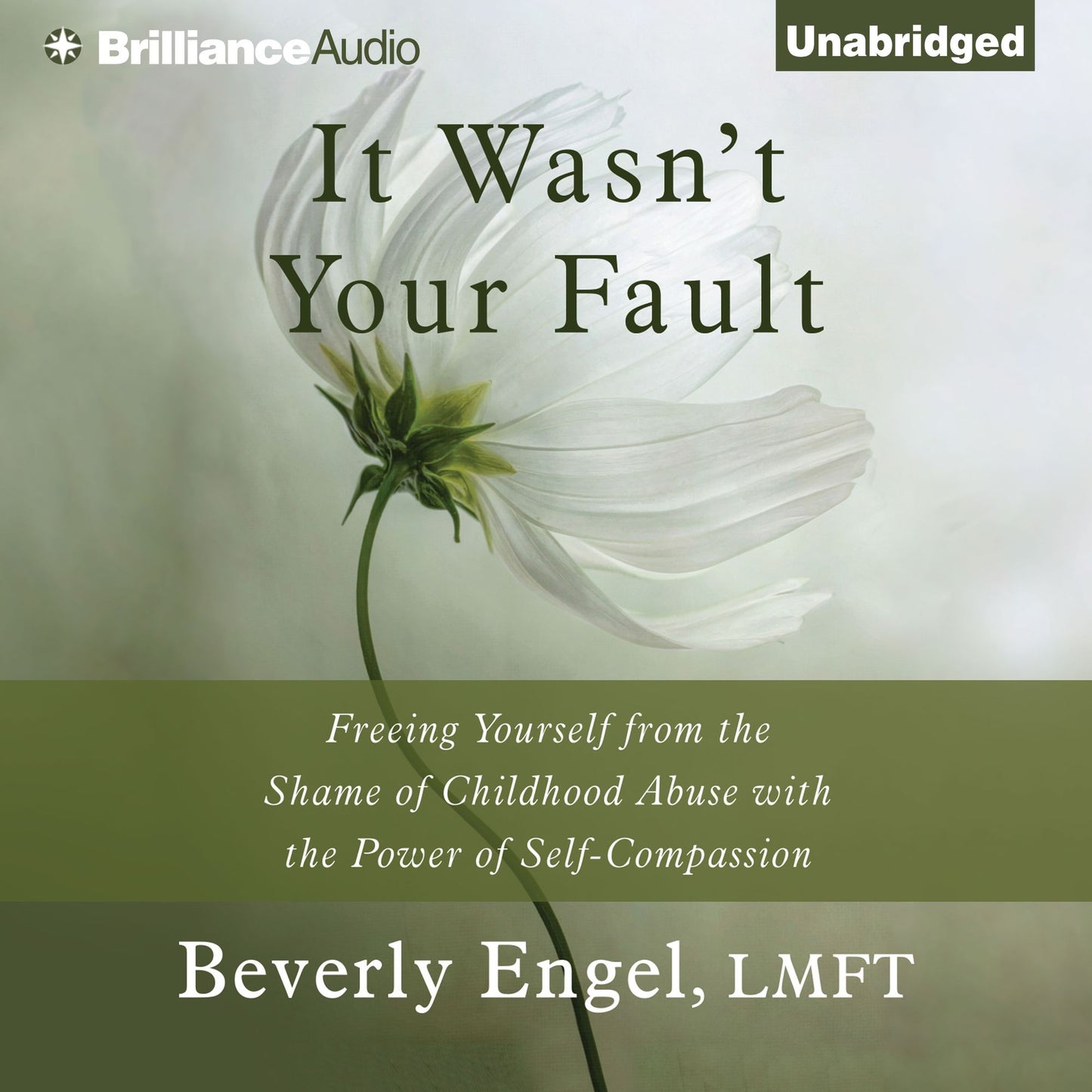 It Wasn't Your Fault: Freeing Yourself from the Shame of Childhood Abuse with the Power of Self-Compassion