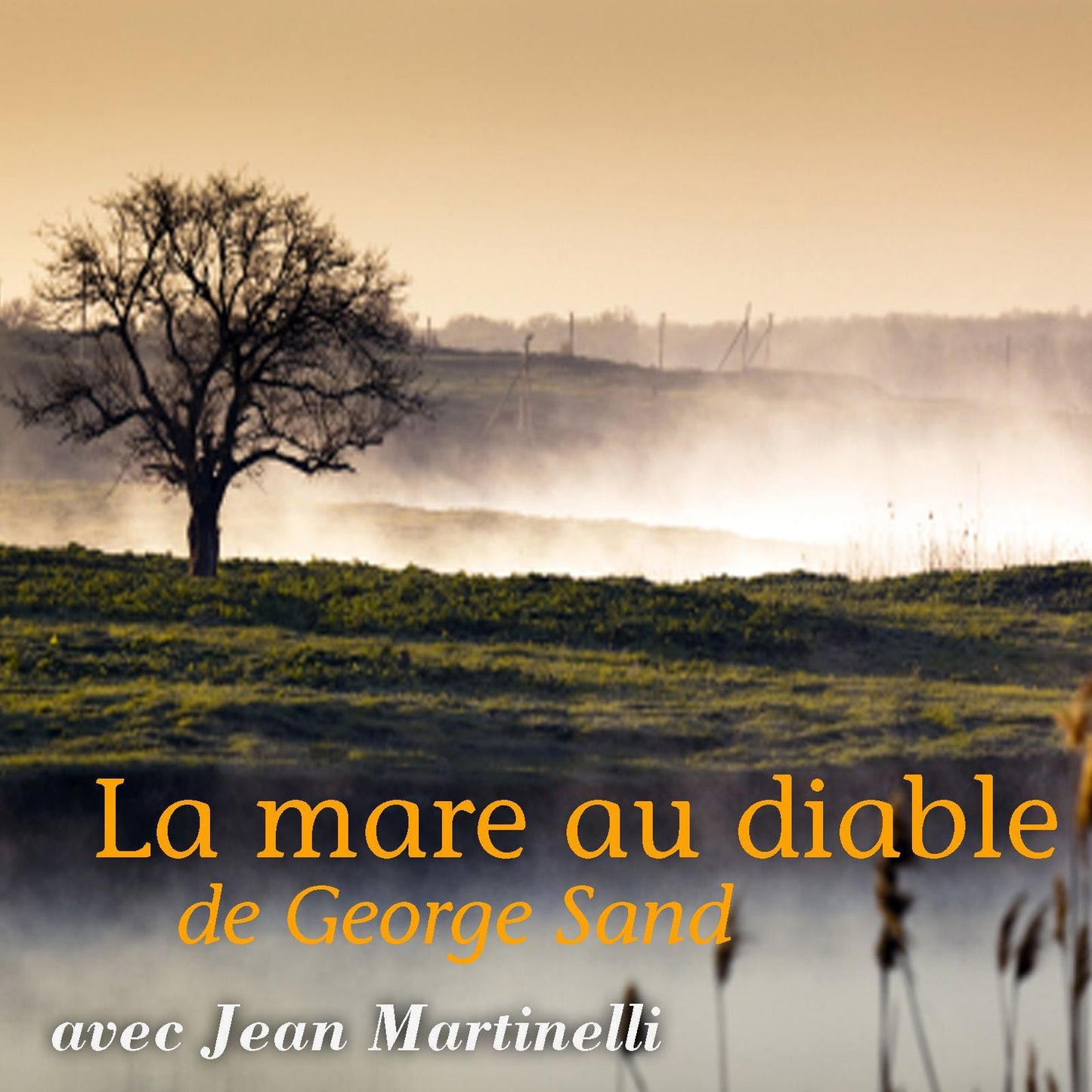 La mare au diable (Abridged)