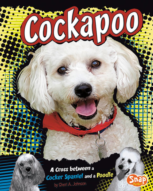Cockapoo : A Cross Between a Cocker Spaniel and a Poodle