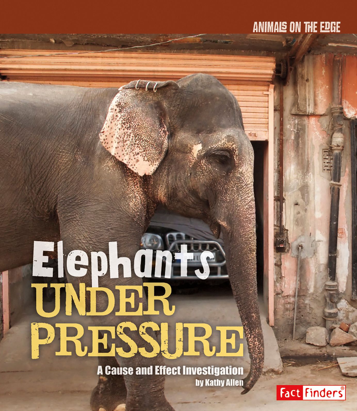 Elephants Under Pressure : A Cause and Effect Investigation